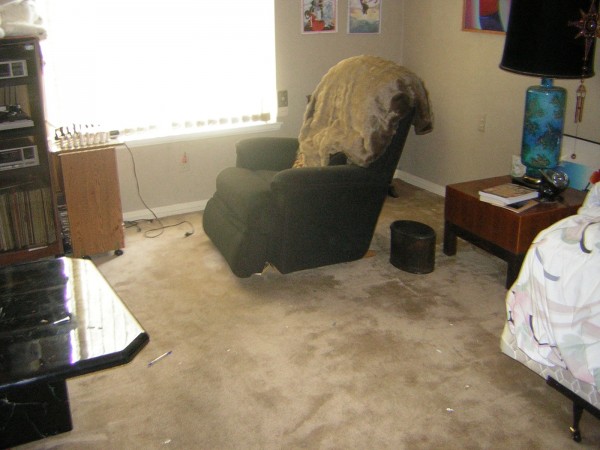 den-after den-after