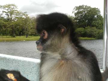 Greedy-on-board